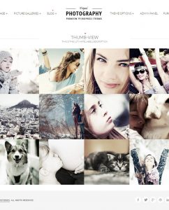 15 Powerful WordPress Photography Themes