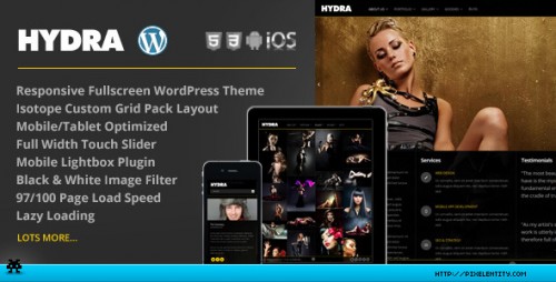Hydra - Fullscreen Portfolio Grid WP Theme