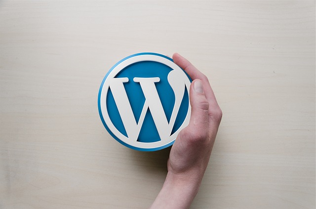 How to Improve Your WordPress Site to Gain More Traffic