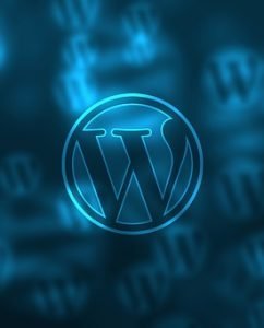 6 Steps to Guarantee the Security of Your WordPress Site