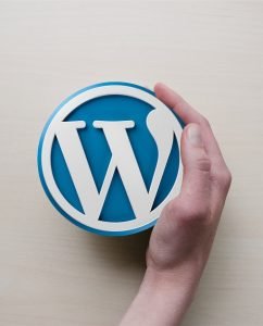 What Type of WordPress Theme and Hosting to Choose When Creating a Modern Site?