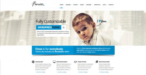 Finex - Responsive WordPress Theme