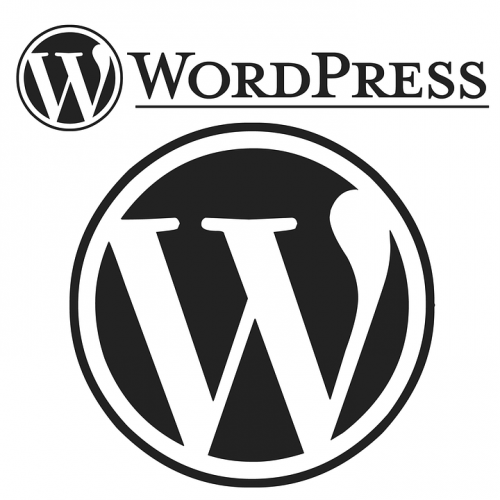 Why You Should Be Using WordPress